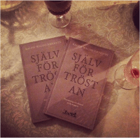 skarmavbild-2016-11-22-kl-10-54-10